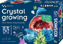 Cover-Bild zu Kristalle züchten MULTI