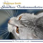 Cover-Bild zu Smith, Penelope: Grundkurs: Tierkommunikation