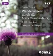 Cover-Bild zu Fontane, Theodor: Wanderungen durch die Mark Brandenburg - Teil II: Havelland