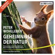 Cover-Bild zu Wohlleben, Peter: Geheimnisse der Natur