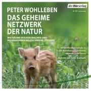 Cover-Bild zu Wohlleben, Peter: Das geheime Netzwerk der Natur
