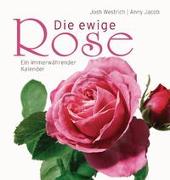 Cover-Bild zu Jacob, Anny: Die ewige Rose