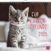 Cover-Bild zu Groh Verlag (Hrsg.): Wandkalender 2025: Für Katzenfreunde