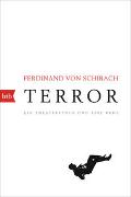 Cover-Bild zu Schirach, Ferdinand von: Terror